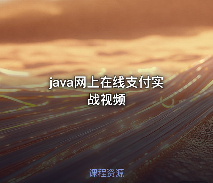 java网上在线支付实战视频