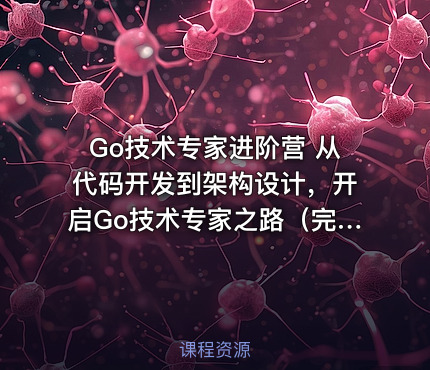 Go技术专家进阶营 从代码开发到架构设计，开启Go技术专家之路（完结）