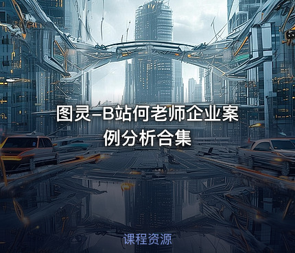 图灵-B站何老师企业案例分析合集