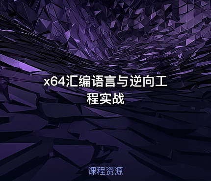 x64汇编语言与逆向工程实战