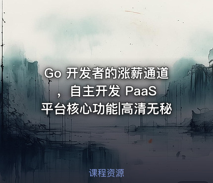Go 开发者的涨薪通道，自主开发 PaaS 平台核心功能|高清无秘