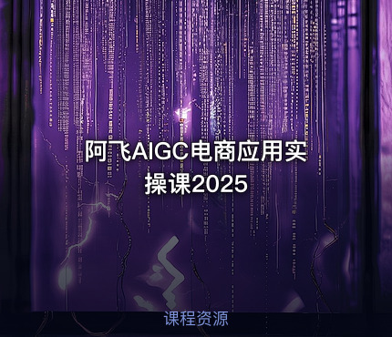 阿飞AIGC电商应用实操课2025