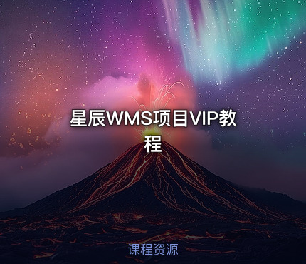 星辰WMS项目VIP教程