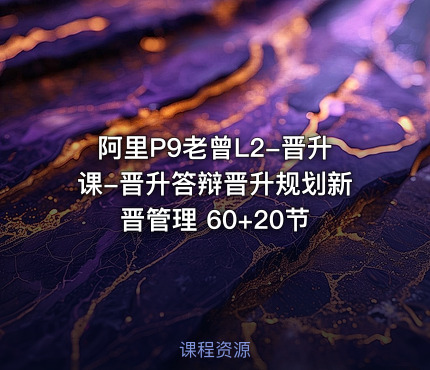 阿里P9老曾L2-晋升课-晋升答辩晋升规划新晋管理 60+20节