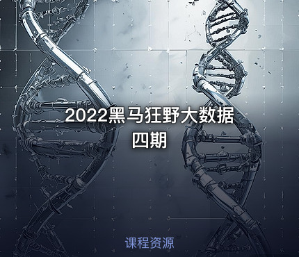 2022黑马狂野大数据四期