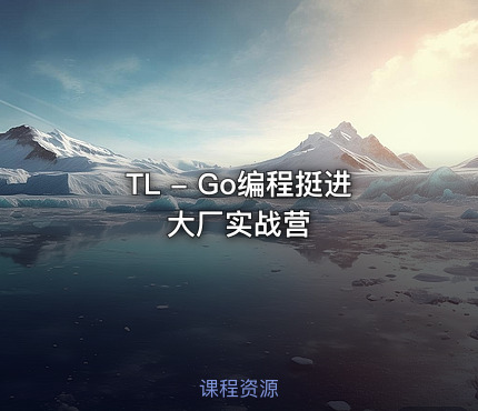 TL - Go编程挺进大厂实战营