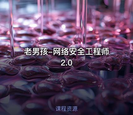 老男孩-网络安全工程师2.0