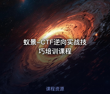 蚁景-CTF逆向实战技巧培训课程