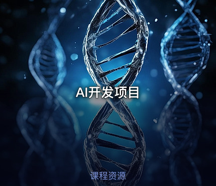 AI开发项目