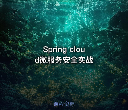 Spring cloud微服务安全实战