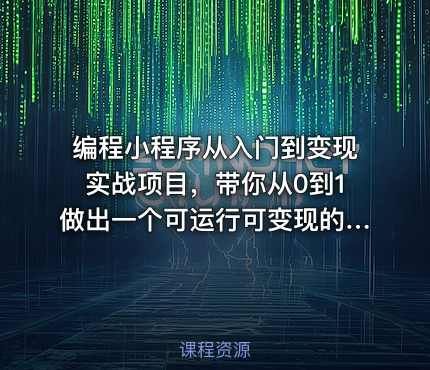 编程小程序从入门到变现实战项目，带你从0到1做出一个可运行可变现的小程序