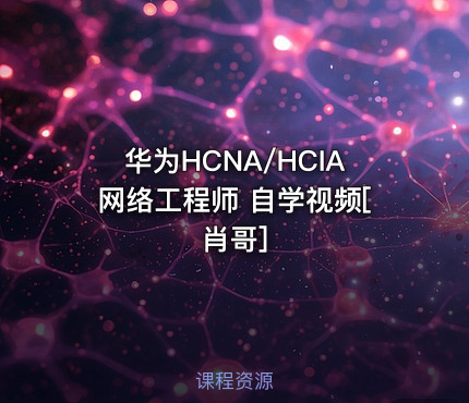 华为HCNA/HCIA网络工程师 自学视频[肖哥]