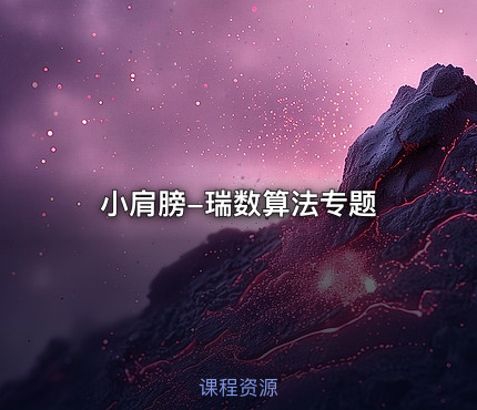 小肩膀-瑞数算法专题