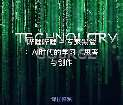 哔哩哔哩 - 专家黑盒：AI时代的学习、思考与创作