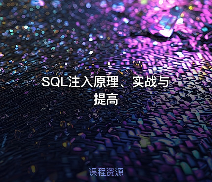 SQL注入原理、实战与提高