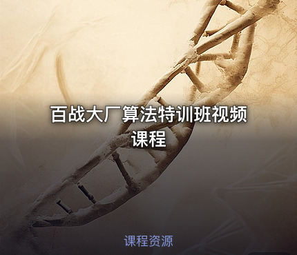 百战大厂算法特训班视频课程