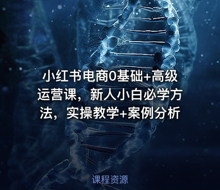 小红书电商0基础+高级运营课，新人小白必学方法，实操教学+案例分析