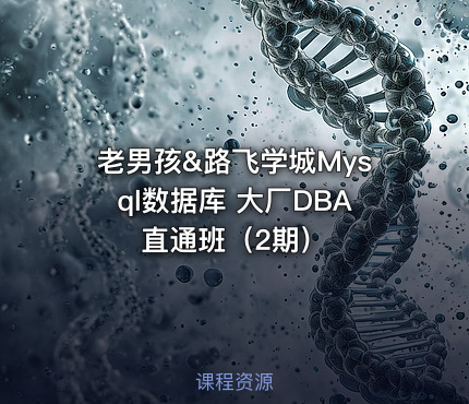 老男孩&路飞学城Mysql数据库 大厂DBA直通班（2期）