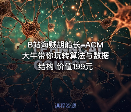 B站海贼胡船长-ACM大牛带你玩转算法与数据结构 价值199元