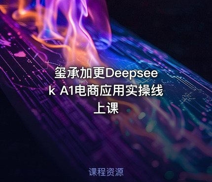 玺承加更Deepseek A1电商应用实操线上课