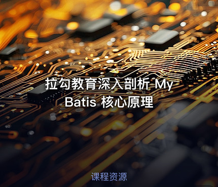 拉勾教育深入剖析 MyBatis 核心原理