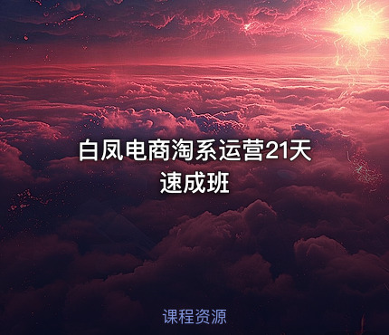 白凤电商淘系运营21天速成班