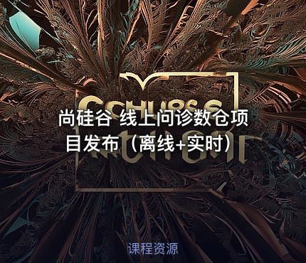 尚硅谷 线上问诊数仓项目发布（离线+实时）