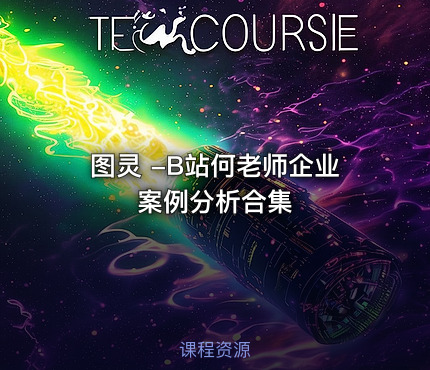 图灵 -B站何老师企业案例分析合集