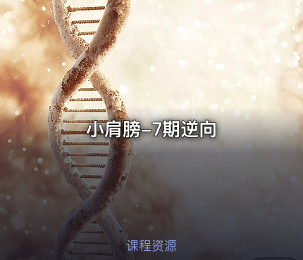 小肩膀-7期逆向