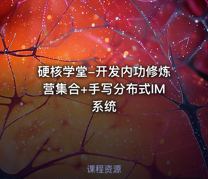 硬核学堂-开发内功修炼营集合+手写分布式IM系统