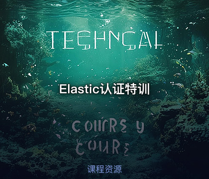 Elastic认证特训
