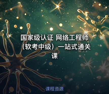国家级认证 网络工程师（软考中级）一站式通关课