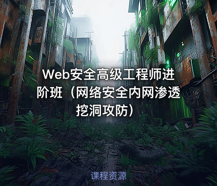 Web安全高级工程师进阶班（网络安全内网渗透挖洞攻防）