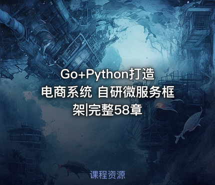 Go+Python打造电商系统 自研微服务框架|完整58章