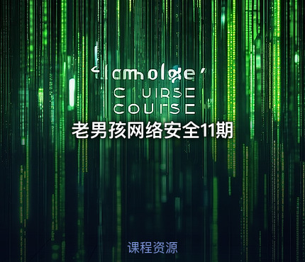 老男孩网络安全11期