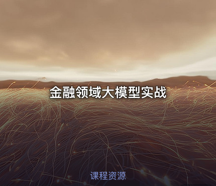 金融领域大模型实战