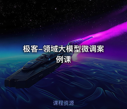 极客-领域大模型微调案例课