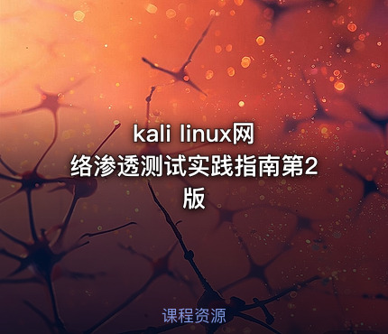 kali linux网络渗透测试实践指南第2版