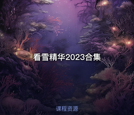 看雪精华2023合集