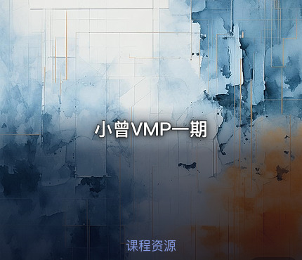 小曾VMP一期