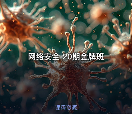 网络安全 20期金牌班