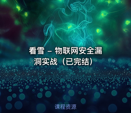 看雪 - 物联网安全漏洞实战（已完结）