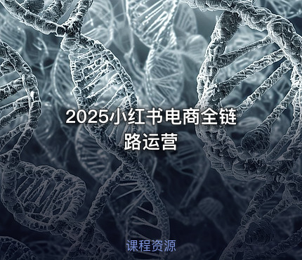 2025小红书电商全链路运营