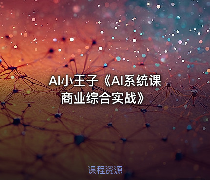 Al小王子《AI系统课商业综合实战》