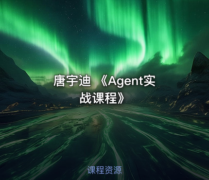 唐宇迪 《Agent实战课程》