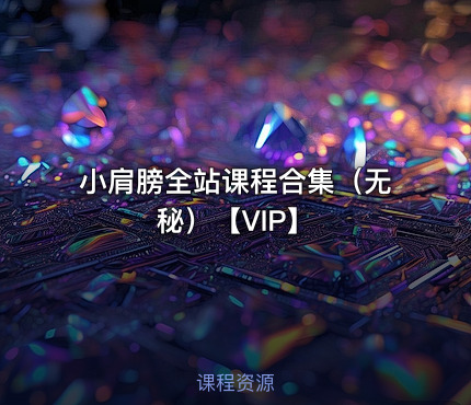 小肩膀全站课程合集（无秘）【VIP】