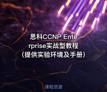 思科CCNP Enterprise实战型教程（提供实验环境及手册） - getfromcode