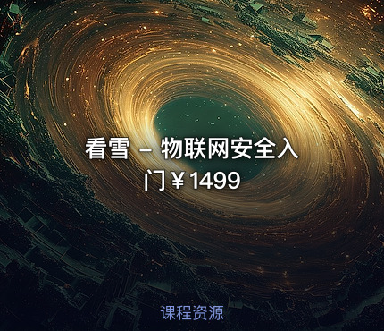 看雪 - 物联网安全入门￥1499