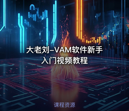 大老刘-VAM软件新手入门视频教程