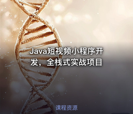 Java短视频小程序开发，全栈式实战项目